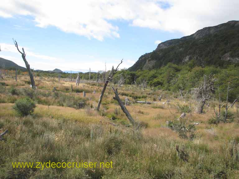 222: Carnival Splendor, Ushuaia, Tierra del Fuego, 