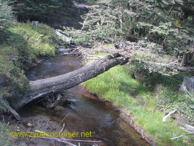 223: Carnival Splendor, Ushuaia, Tierra del Fuego, 