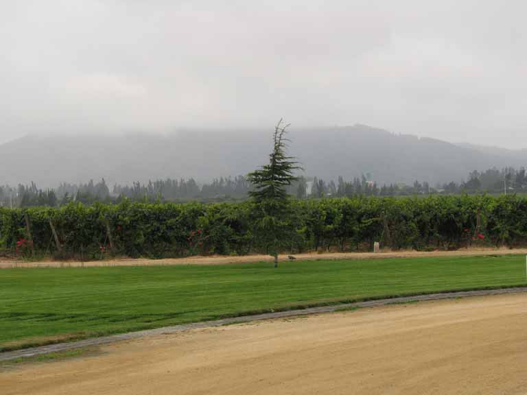 112: Carnival Splendor, 2009, Valparaiso-Santiago transfer, Wine, Horses, and Santiago tour, 