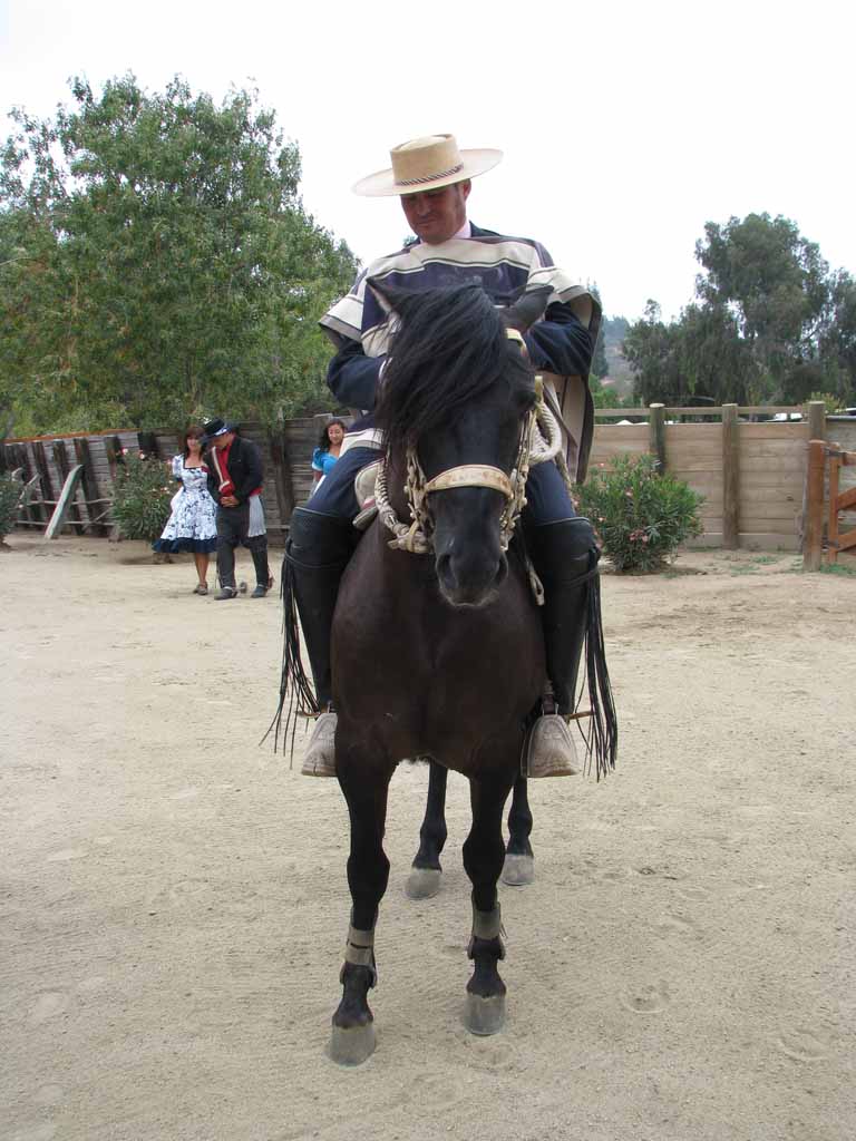 130: Carnival Splendor, 2009, Valparaiso-Santiago transfer, Wine, Horses, and Santiago tour, 