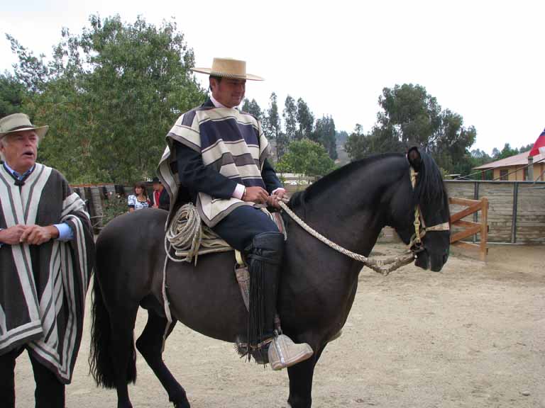 132: Carnival Splendor, 2009, Valparaiso-Santiago transfer, Wine, Horses, and Santiago tour, 