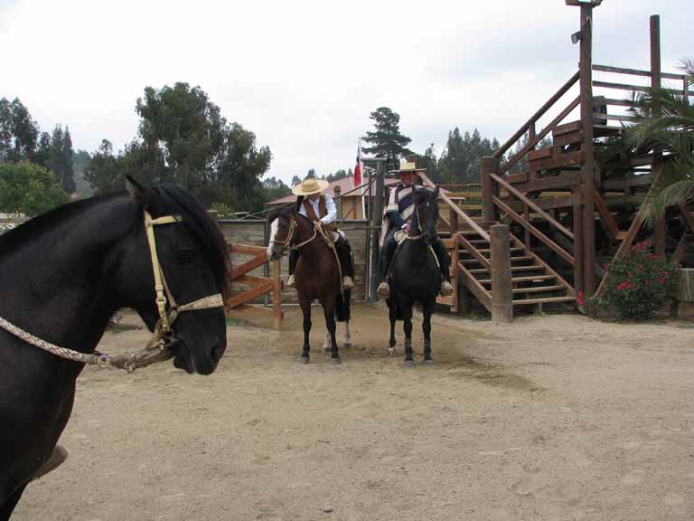 141: Carnival Splendor, 2009, Valparaiso-Santiago transfer, Wine, Horses, and Santiago tour, 