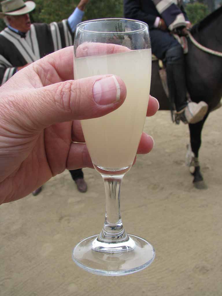 142: Carnival Splendor, 2009, Valparaiso-Santiago transfer, Wine, Horses, and Santiago tour, Pisco sour