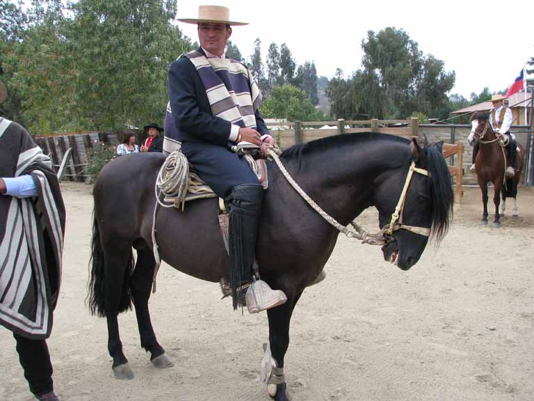 143: Carnival Splendor, 2009, Valparaiso-Santiago transfer, Wine, Horses, and Santiago tour, 