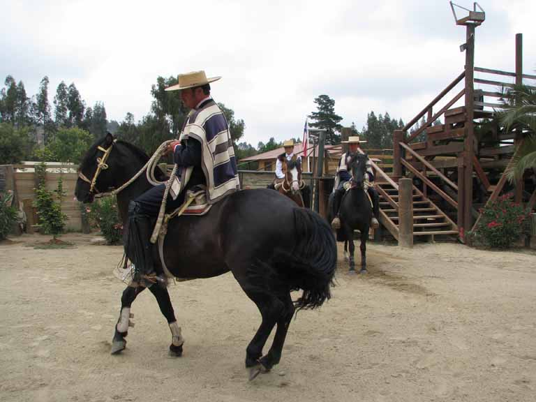 148: Carnival Splendor, 2009, Valparaiso-Santiago transfer, Wine, Horses, and Santiago tour, 