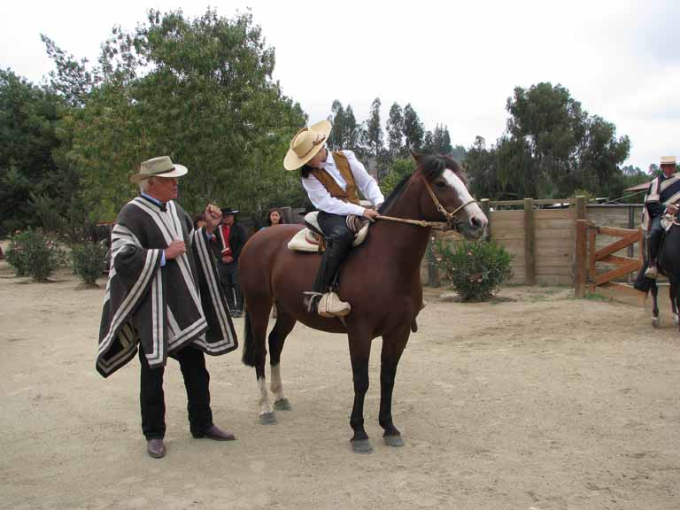 152: Carnival Splendor, 2009, Valparaiso-Santiago transfer, Wine, Horses, and Santiago tour, 