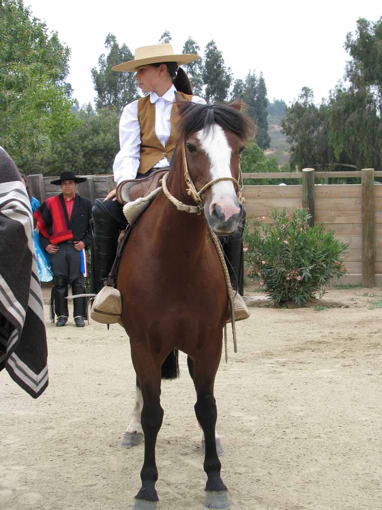 155: Carnival Splendor, 2009, Valparaiso-Santiago transfer, Wine, Horses, and Santiago tour, 