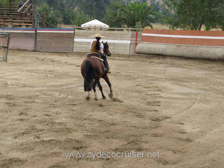 197: Carnival Splendor, 2009, Valparaiso-Santiago transfer, Wine, Horses, and Santiago tour, 