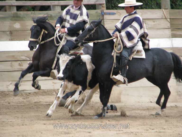 199: Carnival Splendor, 2009, Valparaiso-Santiago transfer, Wine, Horses, and Santiago tour, 