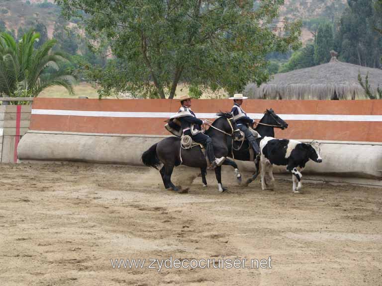 201: Carnival Splendor, 2009, Valparaiso-Santiago transfer, Wine, Horses, and Santiago tour, 