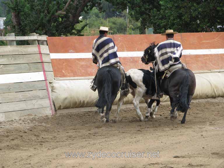 204: Carnival Splendor, 2009, Valparaiso-Santiago transfer, Wine, Horses, and Santiago tour, 