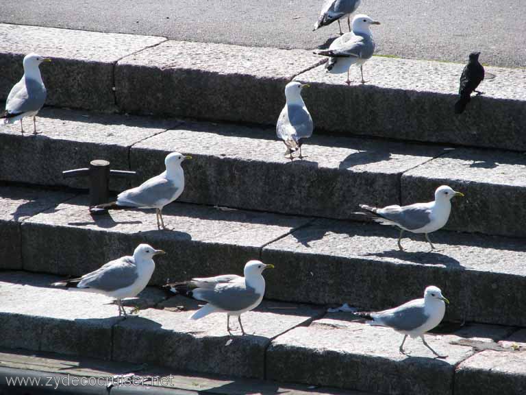 062: Carnival Splendor, Helsinki, Helsinki in a Nutshell Boat Tour