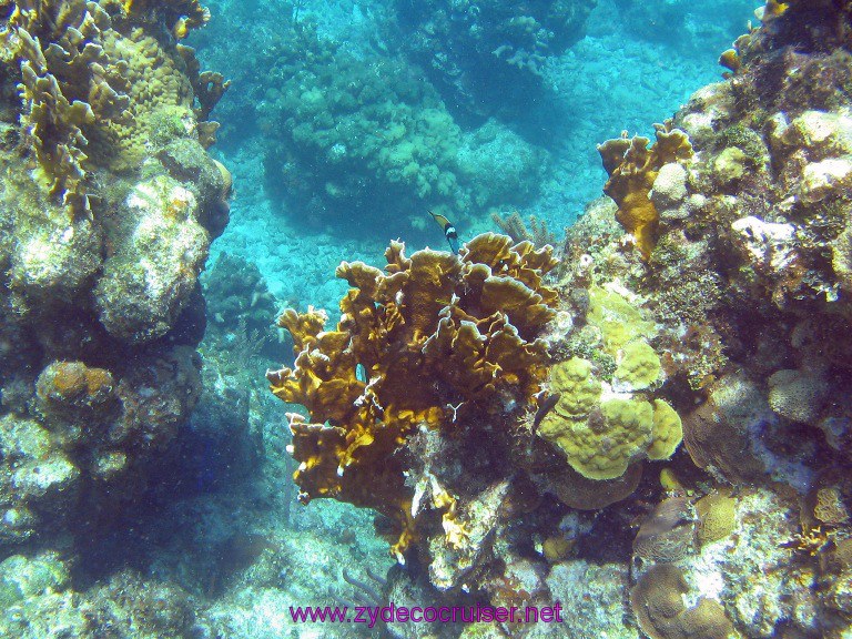 014: Carnival Valor, Roatan, Tabyana Beach, Snorkel, 