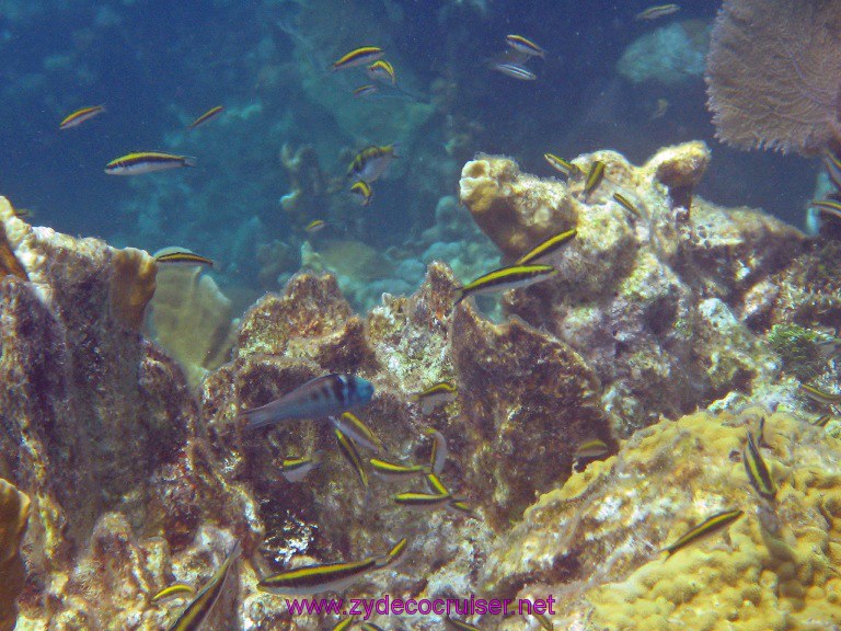 037: Carnival Valor, Roatan, Tabyana Beach, Snorkel, 