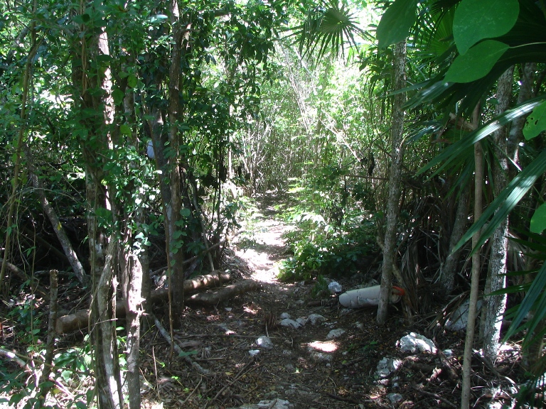 010: Carnival Valor, Chac-Chi, Costa Maya, 