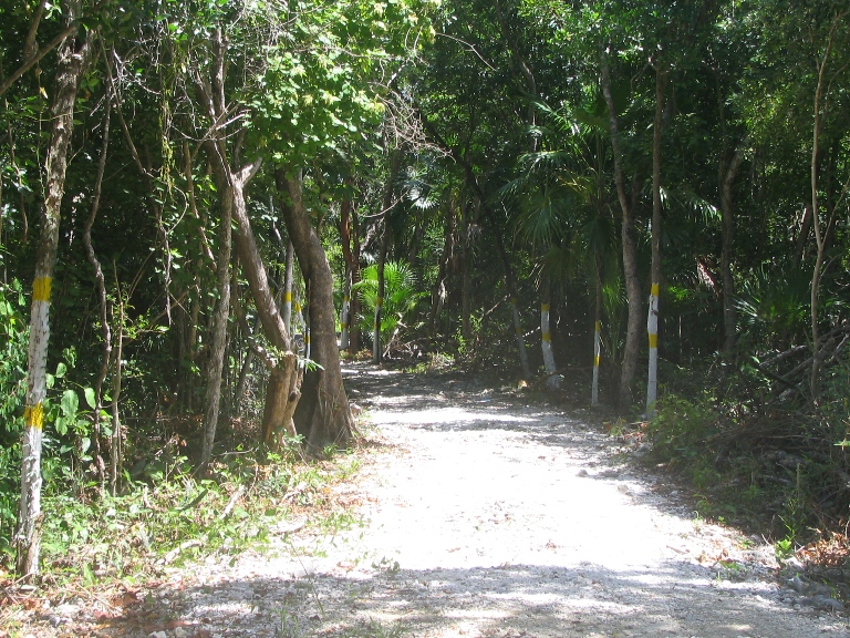 022: Carnival Valor, Chac-Chi, Costa Maya, 